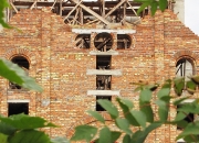 Bydivnutsvo_cherven_2015-03.JPG