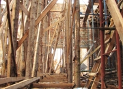 Bydivnutsvo_cherven_2015-10.JPG