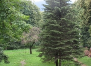 Karpaty2011_44