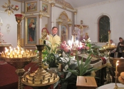 Nichni Chuvannia 312011