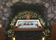 plaschaniza_2018-11.JPG