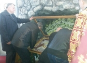 Plaschanycia_2015-11.jpg