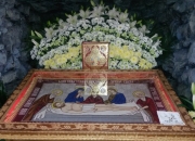 Plaschanycia_2015-12.jpg