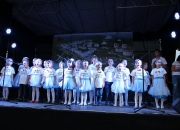 Sviato_vulyci_02.10.2016-28.JPG