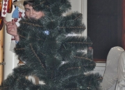 sv_Mukolai-18.12.2012-10
