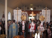 Zaverwennia_maivok-052012-17