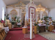 Zeleni svyata 2011_01