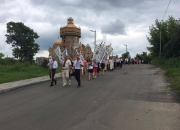 Zeleni_sviata_viche_05.06.2017-01.jpg