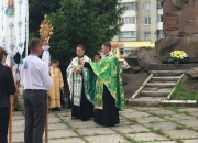 Zeleni_sviata_viche_05.06.2017-11.jpg